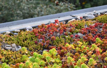 the cost of Winstone green roof installation