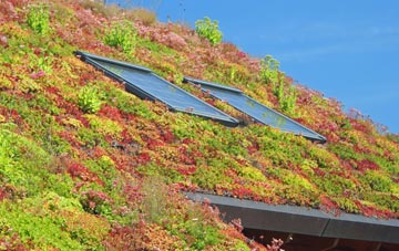 Winstone living roof systems